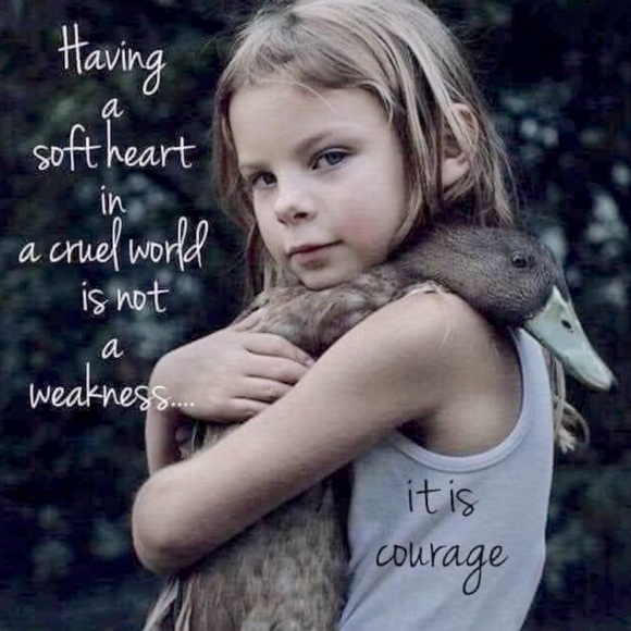 Kindness🌿 - Picture 3 of 12